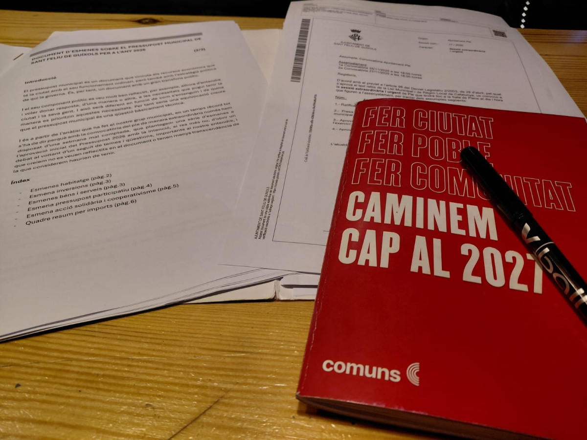 Un pressupost d’aparador per a un any electoral